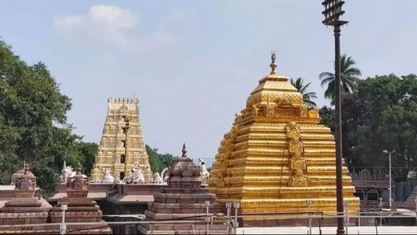 శ్రీశైలంలో ఆర్జిత సేవలు, వీఐవీ స్పర్శదర్శనాలు రద్దు.. ప్రత్యేక బస్సులు