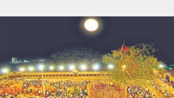 అమెరికాలో సమ్మక్క, సారక్క జాతర.. మామూలుగా లేదుగా.. వైరల్ వీడియో!