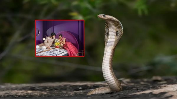 భర్తకు షాక్.. తెళ్లారి లేచే సరికి భార్య ప్లేస్ లో పాము కుబుసం.. ఏం జరిగింది..?