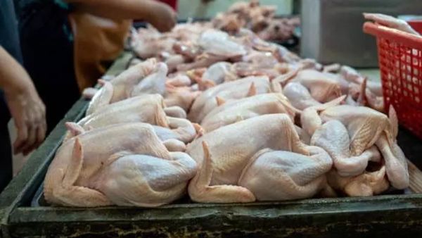 ఆదివారం విశాఖలో నాన్‌వెజ్ ప్రియులకు బ్యాడ్‌న్యూస్!