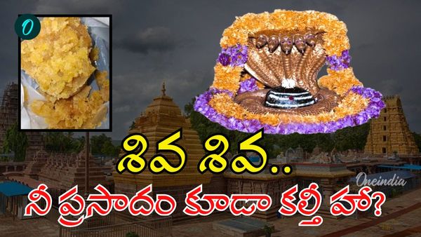 Srisailam శివయ్య ప్రసాదం కూడా సురక్షితం కాదా? భక్తుల్లో ఆందోళన