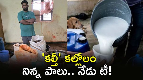 కొబ్బరి పీచు పొడితో టీ తయారీ: సింథటిక్ రంగులతో ప్రాణాలతో చెలగాటం!