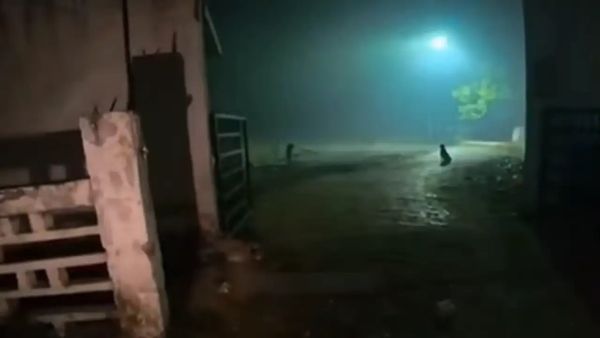 Viral Video: శ్మశానంలో ఫుడ్ ఆర్డర్ చేసిన మహిళ..