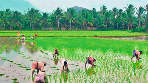 దేశంలోనే టాప్ లో ఏపీలో అన్నదాతల అప్పులు.. కేంద్రం లెక్క ఇదే!