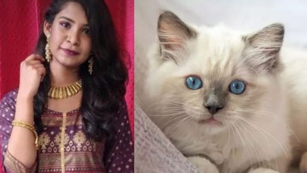 పిల్లి కోసం ఆత్మహత్య చేసుకున్న డాక్టర్..