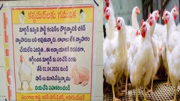 బిగ్ షాక్.. తెలంగాణలో రేపటి నుంచి చికెన్ షాపులు బంద్