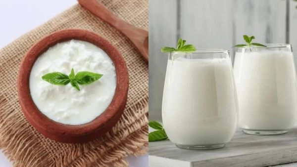 పెరుగు vs మజ్జిగ.. వేసవిలో ఎవరికి ఏది మంచిది..!!