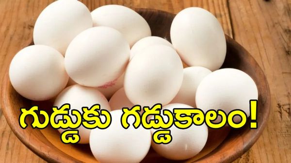 యుద్ధం ఎఫెక్ట్: కుప్పకూలిన గుడ్డు ధరలు!