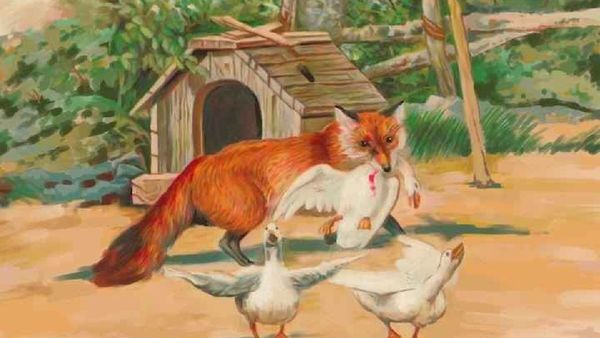 ఈ ఫోటోలో నక్క, బాతులతో పాటు ఉన్న మరో జంతువును చూశారా..?