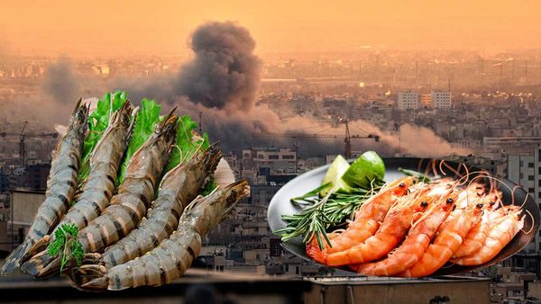 ఏపీపై తీవ్ర ప్రభావం చూపిస్తున్న ఇరాన్ ఇజ్రాయెల్ యుద్ధం.. నష్టాల్లో ఆ రైతులు!