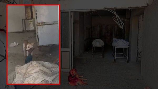 మృతదేహాన్ని పీక్కుతిన్న కుక్క.. మార్చరీలో ఒళ్లు గగుర్పొడిచే ఘటన
