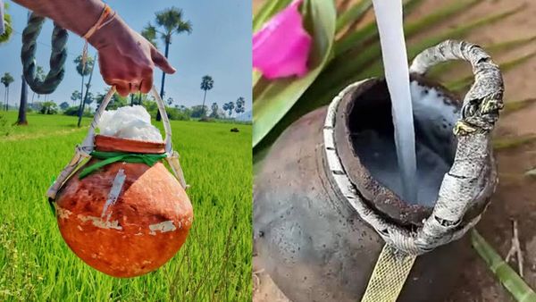 వేసవిలో ఏ కల్లు తాగడం బెస్ట్ ? తాటి క‌ల్లు ?? ఈత‌ కల్లు ???