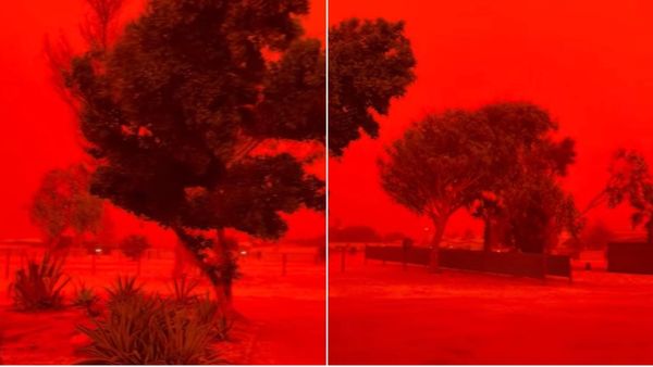 ఆస్ట్రేలియాలో వింత: సడన్ గా ఎర్రబారిన ఆకాశం (వీడియో)