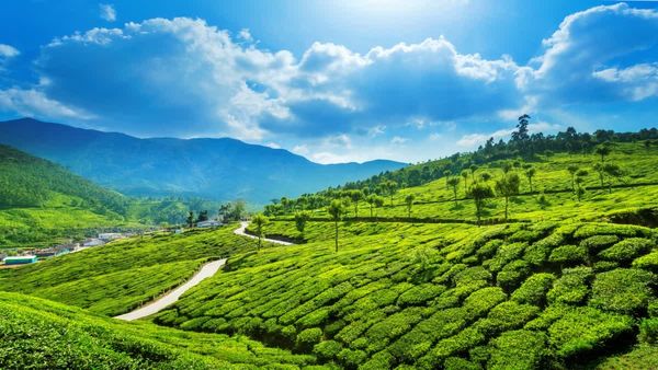 సమ్మర్ లో బెస్ట్ టూరిస్ట్ ప్లేస్ ఇదే.. అస్సలు మిస్ అవ్వకండి..!