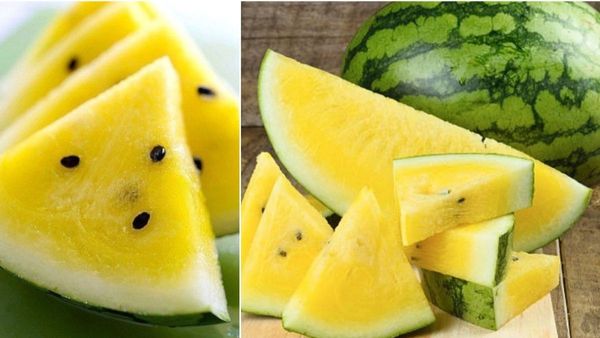 పసుపు పచ్చ పుచ్చకాయ.. కనిపిస్తే వదలొద్దు