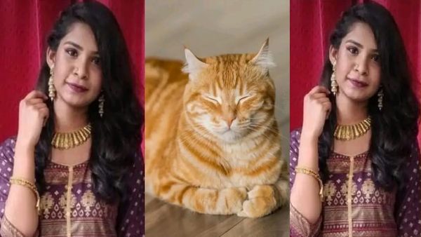 పిల్లుల కోసం ఇద్దరు యువతుల ఆత్మహత్య.. ఇదెక్కడి విడ్డూరం !!