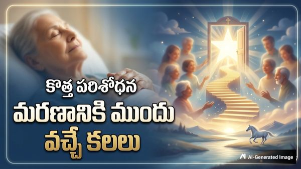 చనిపోయే ముందు అందరికీ ఒకేలాంటి కలలు వస్తాయా?