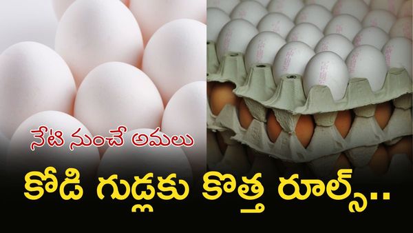 తాజా కోడిగుడ్డును గుర్తుపట్టడం ఇక ఈజీ