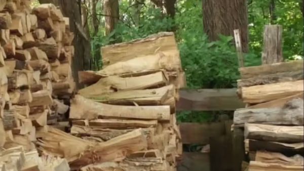 ఈ ఫోటోలో మీకు ఒక పిల్లి కనిపించిందా ? ఎక్కడుందో చెప్పగలరా ??