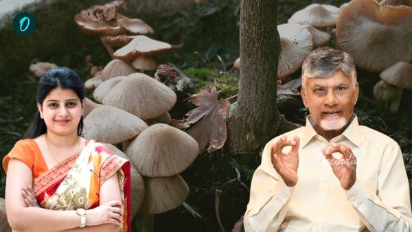 పొదుపు సంఘాల మహిళలకు భారీ సబ్సిడీ: ఏపీ మష్రూమ్ మిషన్ ప్రారంభం!
