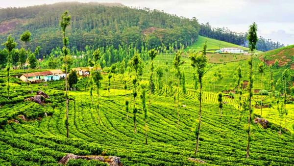 సమ్మర్ లో 'ఊటీ' టూర్.. బడ్జెట్ ధరకే ఫుల్ ఎంజాయ్ మస్తీ మజా..