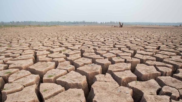 రెండున్నరేళ్ల పాటు కరువే! ఎల్‌నినో వచ్చేసింది!