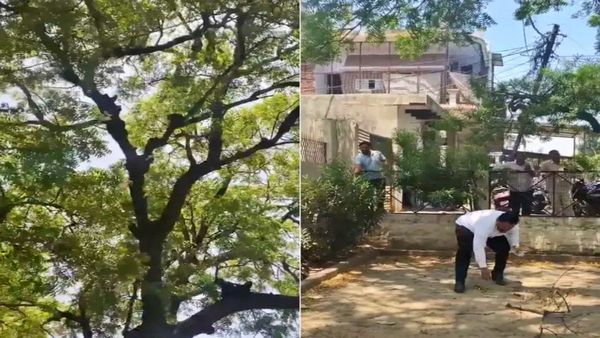 Viral Video: నోట్ల వర్షం కురిపించిన కోతి.. ఎగబడి ఏరుకున్న జనం
