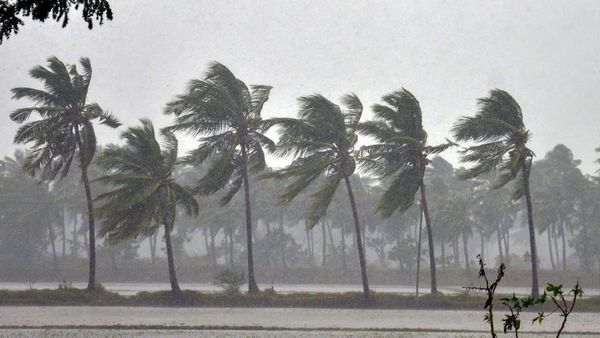 మే 16న రుతుపవనాలపై బిగ్ అప్‌డేట్!