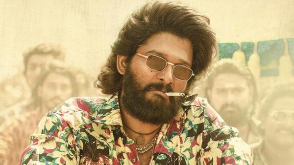 ‘పుష్ప’ సినిమా సిరీస్ తరహాలో మరో సినిమా సిరీస్ సిద్ధం చేస్తున్న అల్లు అర్జున్