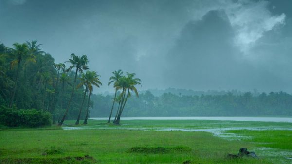 రుతుపవనాల పై గుడ్ న్యూస్, మనకు ఎప్పుడంటే- ఇక వర్షాలు..!!