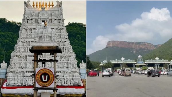 లడ్డూ కల్తీపై నేడు తేల్చేయనున్న టీటీడీ బోర్డు