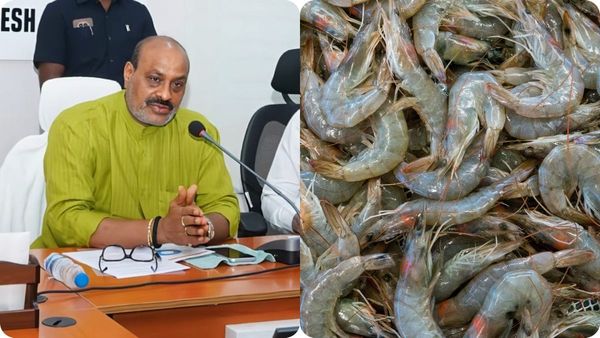 అక్వా ఫీడ్ ధరలపై తేల్చేసిన ఏపీ సర్కార్..! రైతుల కోర్టుల్లోకి బంతి..!