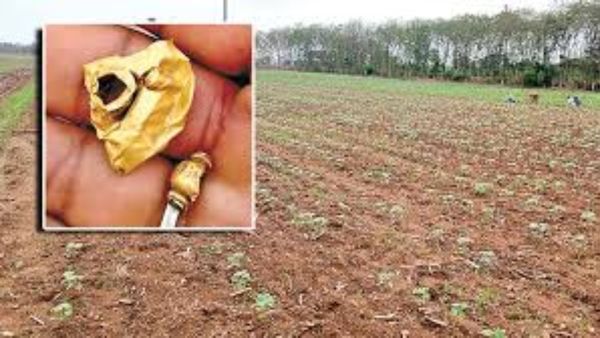 ఆ బంగారు భూమిపై అందరి కళ్ళు!