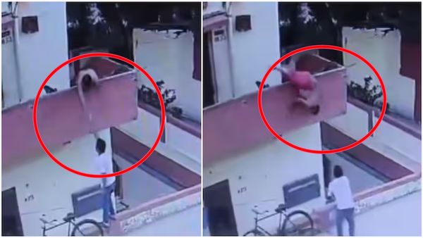 Viral Video: మరీ ఇంత బద్ధకం ఏంట్రా బాబు.. ఐస్‌క్రీమ్ కోసం వంగాడు.. పట్టు తప్పడంతో..! 