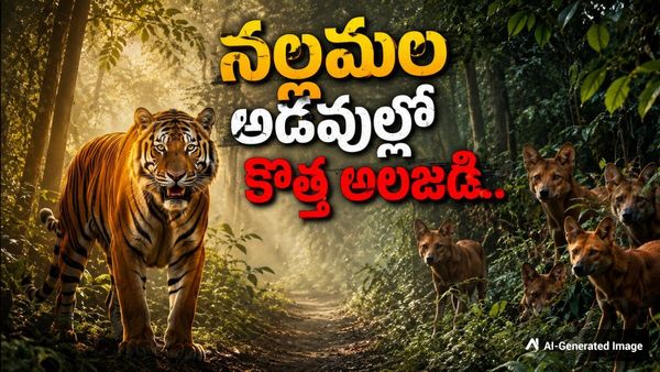 పులుల్ని ఇచ్చి కుక్కల్ని తీసుకుంటున్నారు: దేశ చరిత్రలోనే క్రేజీ డీల్!