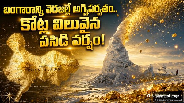 30 ఏళ్ల మిస్టరీ..  మంచు కొండల్లో 'బంగారు నిధి' 