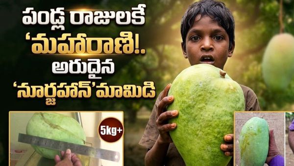 రాష్ట్రపతులు మెచ్చిన 'నూర్జహాన్'.. దేశంలో మిగిలింది మూడే!