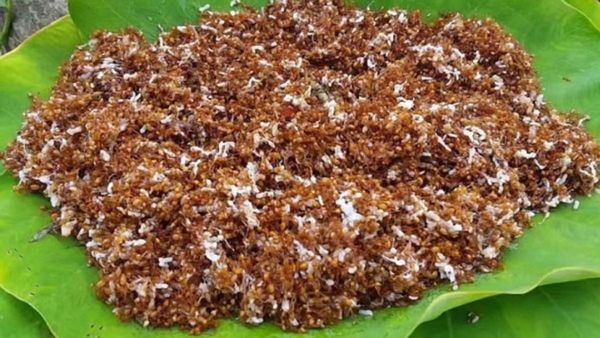 భౌగోళిక గుర్తింపు పొందిన ఎర్ర చీమల చట్నీ.. దీని ప్రత్యేకత ఇదే!