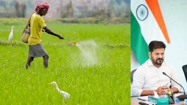 విత్తనాలు, ఎరువుల పంపిణీపై సీఎం కీలక ప్రకటన