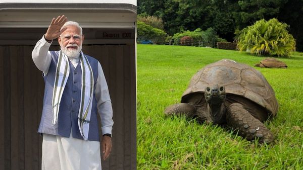 194 ఏళ్ల తాబేలును కలవబోతున్న ప్రధాని మోదీ! ప్రపంచంలోనే అత్యంత వృద్ధ జీవి