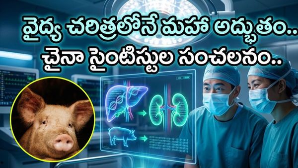 మనిషి శరీరంలో పంది లివర్, కిడ్నీలు! ఎలా పని చేశాయంటే!