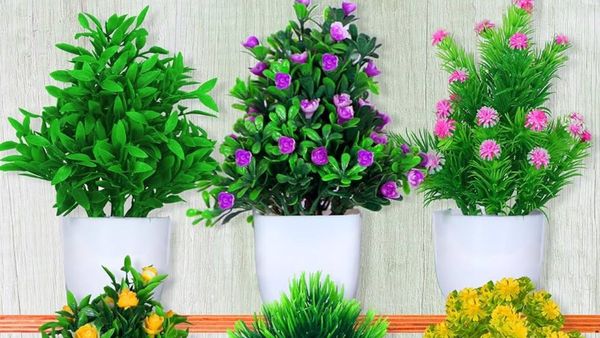 vastu tips: వాస్తు ప్రకారం ఇంట్లో ఆర్టిఫిషియల్ మొక్కలు ఉండొచ్చా?