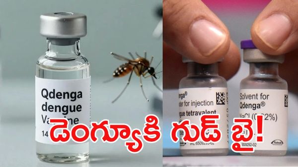 భారత్‌లో తొలి డెంగ్యూ వ్యాక్సిన్‌కు డీసీజీఐ గ్రీన్ సిగ్నల్!