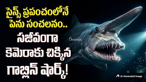 డైనోసార్ల కాలం నాటి వింత జీవి.. సముద్ర గర్భంలో అరుదైన  రహస్యం!