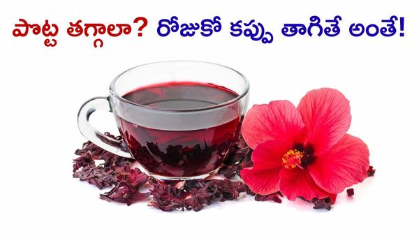 Hibiscus Tea: మందార టీతో మైండ్ బ్లాకింగ్ బెనిఫిట్స్!
