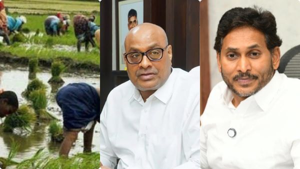 El Nino: ఎల్ నినోపై జగన్ కు సర్కార్ కౌంటర్..! వర్షాల్లేకపోయినా ఖరీఫ్ సాగు..!