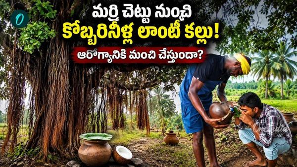 తెలుగు రాష్ట్రాల్లో వింత కల్లు, లొట్టలేసి తాగుతున్న జనం!- VIDEO