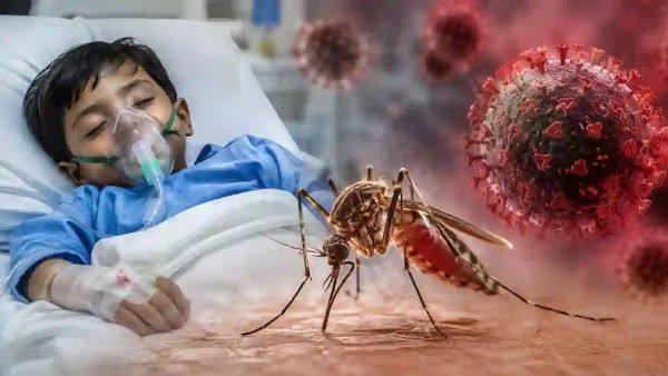 విరుచుకుపడుతున్న అరుదైన వైరస్ - 22 మంది చిన్నారుల మృతి, హై అలర్ట్..!!
