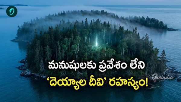 1964లో మొదలైన మిస్టరీ.. 'వాల్ స్ట్రీట్ మంత్రగత్తె' తీరంలో దాగిన సీక్రెట్!