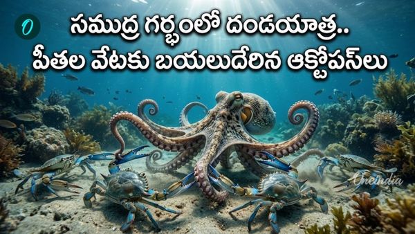 ప్రపంచాన్నే ఆశ్చర్యపరిచిన ఇటలీ మాస్టర్ ప్లాన్! పీతల రక్తం తాగే ఆక్టోపస్‌లు!